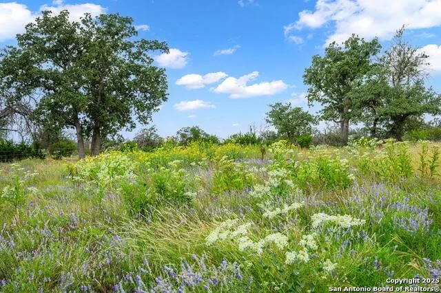 2320 fiedler road Harper, TX 78028
